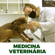 medVet