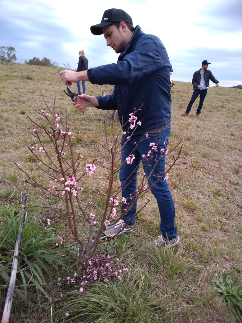 agronomia