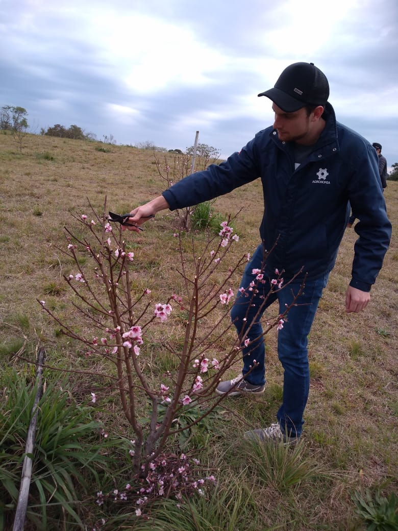 agronomia