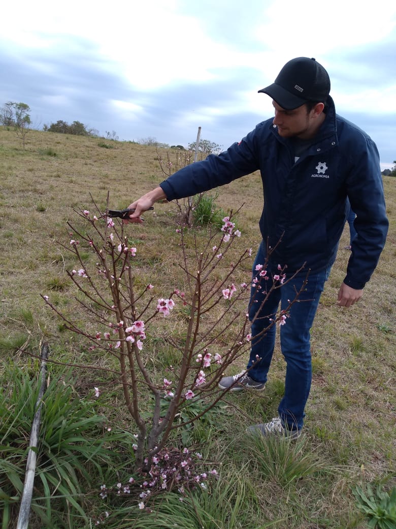 agronomia